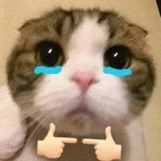 🌟 emoji @STICKRULE <- БОЛЬШЕ Telegram sticker 20 of 25
