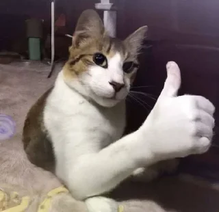 🌟 emoji @STICKRULE <- БОЛЬШЕ Telegram sticker 6 of 25