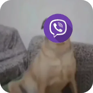 🐶 emoji Дрейк с ножиком коре Telegram sticker 16 of 21