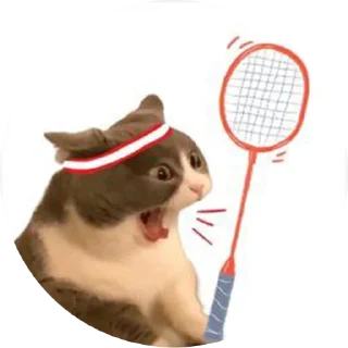 Sticker from badminton @badmworld