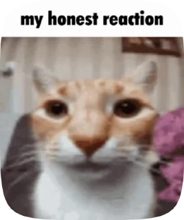🤔 emoji только для йенки @TgEmodziBot Telegram sticker 4 of 8