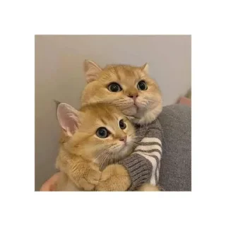 😶 emoji Лубофф Telegram sticker 11 of 25