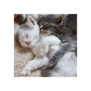 🤗 emoji Лубофф Telegram sticker 13 of 25
