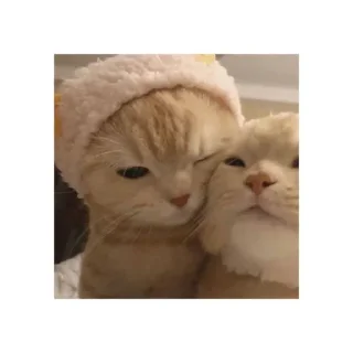 🤗 emoji Лубофф Telegram sticker 17 of 25