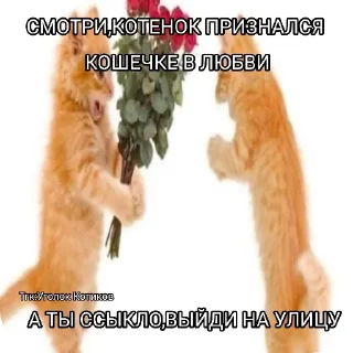 🐱 emoji Котаки Telegram sticker 9 of 15