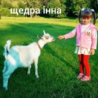 Sticker from халява