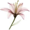 🌸 emoji headache by @dottoreholic Telegram sticker 17 of 200