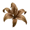 🍂 emoji headache by @dottoreholic Telegram sticker 9 of 200