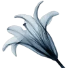🤩 emoji headache by @dottoreholic Telegram sticker 8 of 200