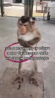 😮‍💨 emoji Дамы богини Telegram sticker 10 of 20