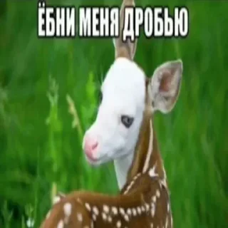 🤑 emoji Больше стикеров –> @striketop 😧 Telegram sticker 20 of 96
