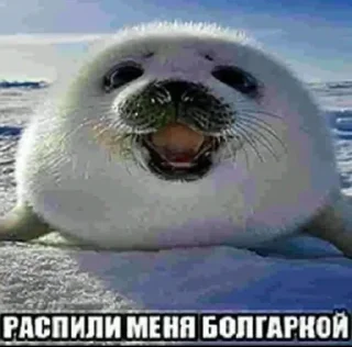 🤑 emoji Больше стикеров –> @striketop 😧 Telegram sticker 21 of 96