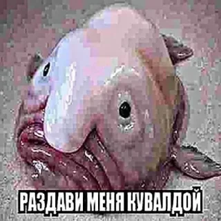 🤑 emoji Больше стикеров –> @striketop 😧 Telegram sticker 14 of 96