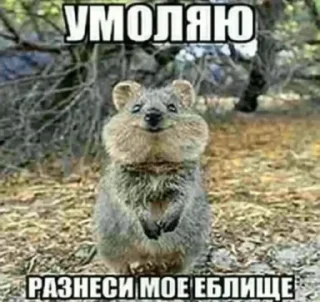 🤑 emoji Больше стикеров –> @striketop 😧 Telegram sticker 19 of 96