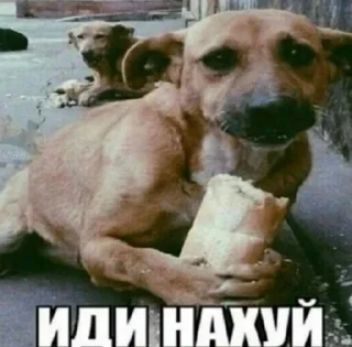 🤑 emoji Больше стикеров –> @striketop 😧 Telegram sticker 6 of 96