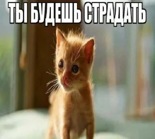 🤑 emoji Больше стикеров –> @striketop 😧 Telegram sticker 7 of 96