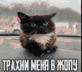 Больше стикеров –> @striketop 😧 sticker 1