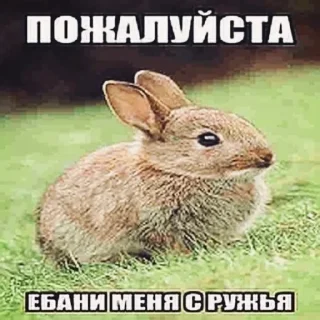 🤑 emoji Больше стикеров –> @striketop 😧 Telegram sticker 17 of 96