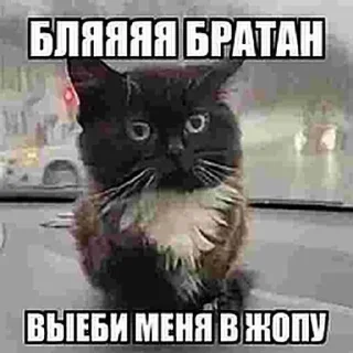 🤑 emoji Больше стикеров –> @striketop 😧 Telegram sticker 15 of 96