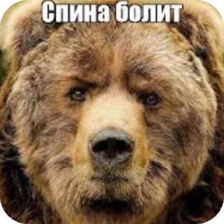 Sticker from я люблю детей @necotinepills