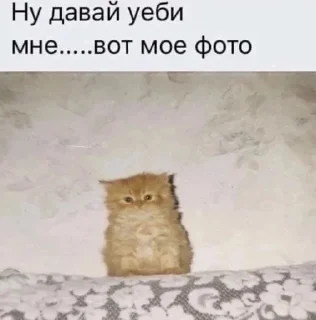 Sticker from мой