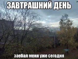 Картинки с текстом sticker 4