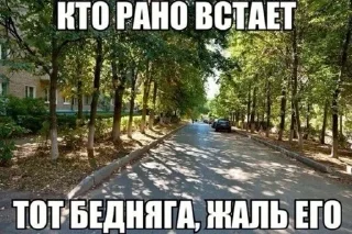 🥴 emoji Картинки с текстом Telegram sticker 5 of 67