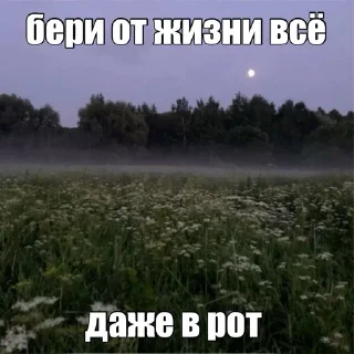 🥰 emoji Картинки с текстом Telegram sticker 19 of 67