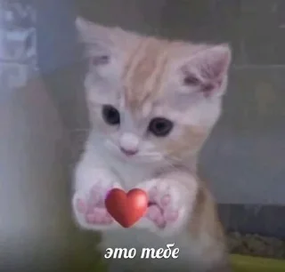🌟 emoji love-love Telegram sticker 24 of 120
