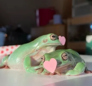 🐸 emoji ¹⁰⁰⁰ ˢʰᵃᵈᵉˢ ᵒᶠ ᶠʳᵒᵍˢ 𓆏 Telegram sticker 8 of 20