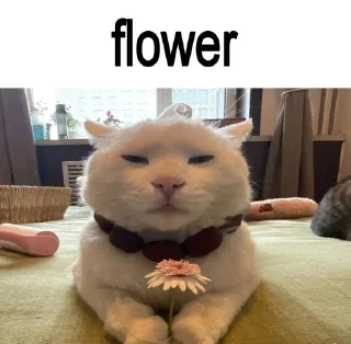Sticker from фруктовые овощи