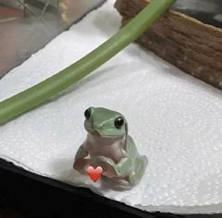 🐸 emoji ¹⁰⁰⁰ ˢʰᵃᵈᵉˢ ᵒᶠ ᶠʳᵒᵍˢ 𓆏 Telegram sticker 10 of 20