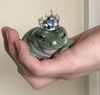 🐸 emoji ¹⁰⁰⁰ ˢʰᵃᵈᵉˢ ᵒᶠ ᶠʳᵒᵍˢ 𓆏 Telegram sticker 16 of 20