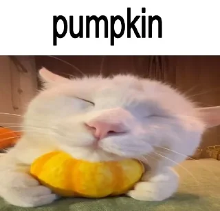 Sticker from фруктовые овощи