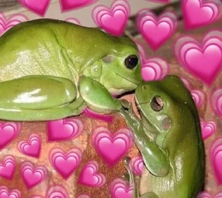🐸 emoji ¹⁰⁰⁰ ˢʰᵃᵈᵉˢ ᵒᶠ ᶠʳᵒᵍˢ 𓆏 Telegram sticker 9 of 20