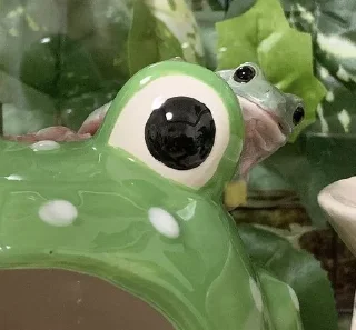 🐸 emoji ¹⁰⁰⁰ ˢʰᵃᵈᵉˢ ᵒᶠ ᶠʳᵒᵍˢ 𓆏 Telegram sticker 14 of 20