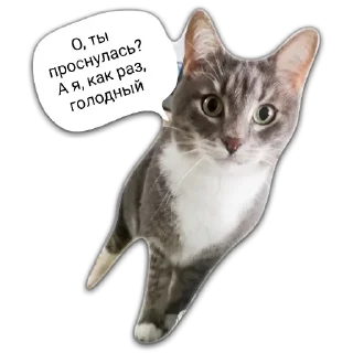 😏 emoji Кот Чизкейк Telegram sticker 2 of 35