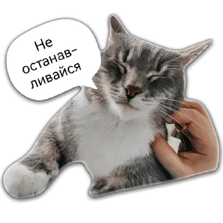 😻 emoji Кот Чизкейк Telegram sticker 21 of 35