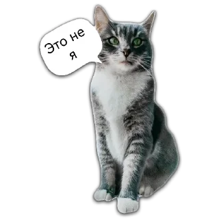 😐 emoji Кот Чизкейк Telegram sticker 23 of 35