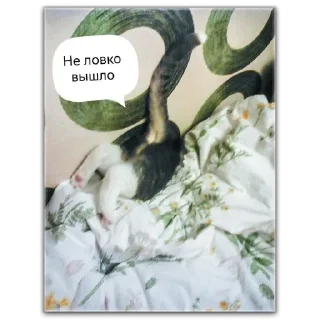 😅 emoji Кот Чизкейк Telegram sticker 10 of 35