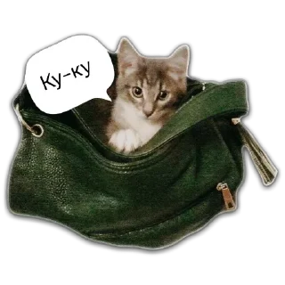 👋 emoji Кот Чизкейк Telegram sticker 22 of 35