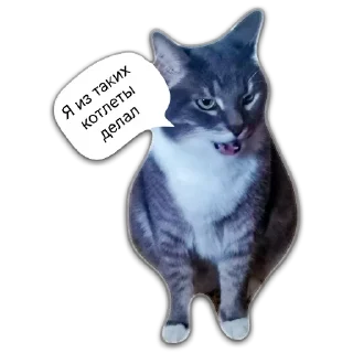 🤘 emoji Кот Чизкейк Telegram sticker 8 of 35