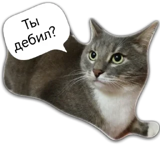 🤨 emoji Кот Чизкейк Telegram sticker 20 of 35
