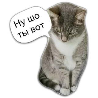 😔 emoji Кот Чизкейк Telegram sticker 17 of 35