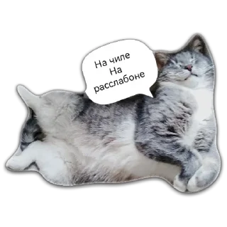 😌 emoji Кот Чизкейк Telegram sticker 7 of 35