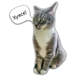 🙀 emoji Кот Чизкейк Telegram sticker 3 of 35