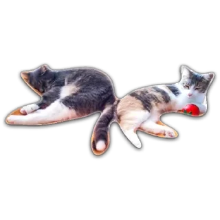 💞 emoji Кот Чизкейк Telegram sticker 13 of 35