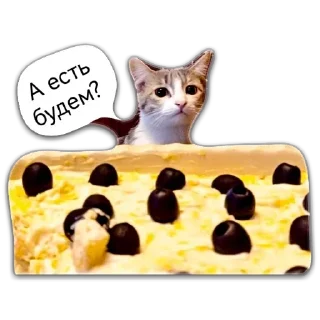 🍽 emoji Кот Чизкейк Telegram sticker 14 of 35