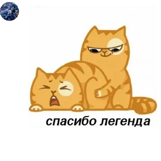 Sticker from Anarchy 🩸 Search pack by @QuotLyBot