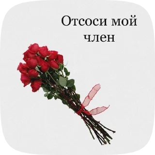 🌹 emoji Video Favorite stickers Telegram sticker 5 of 53
